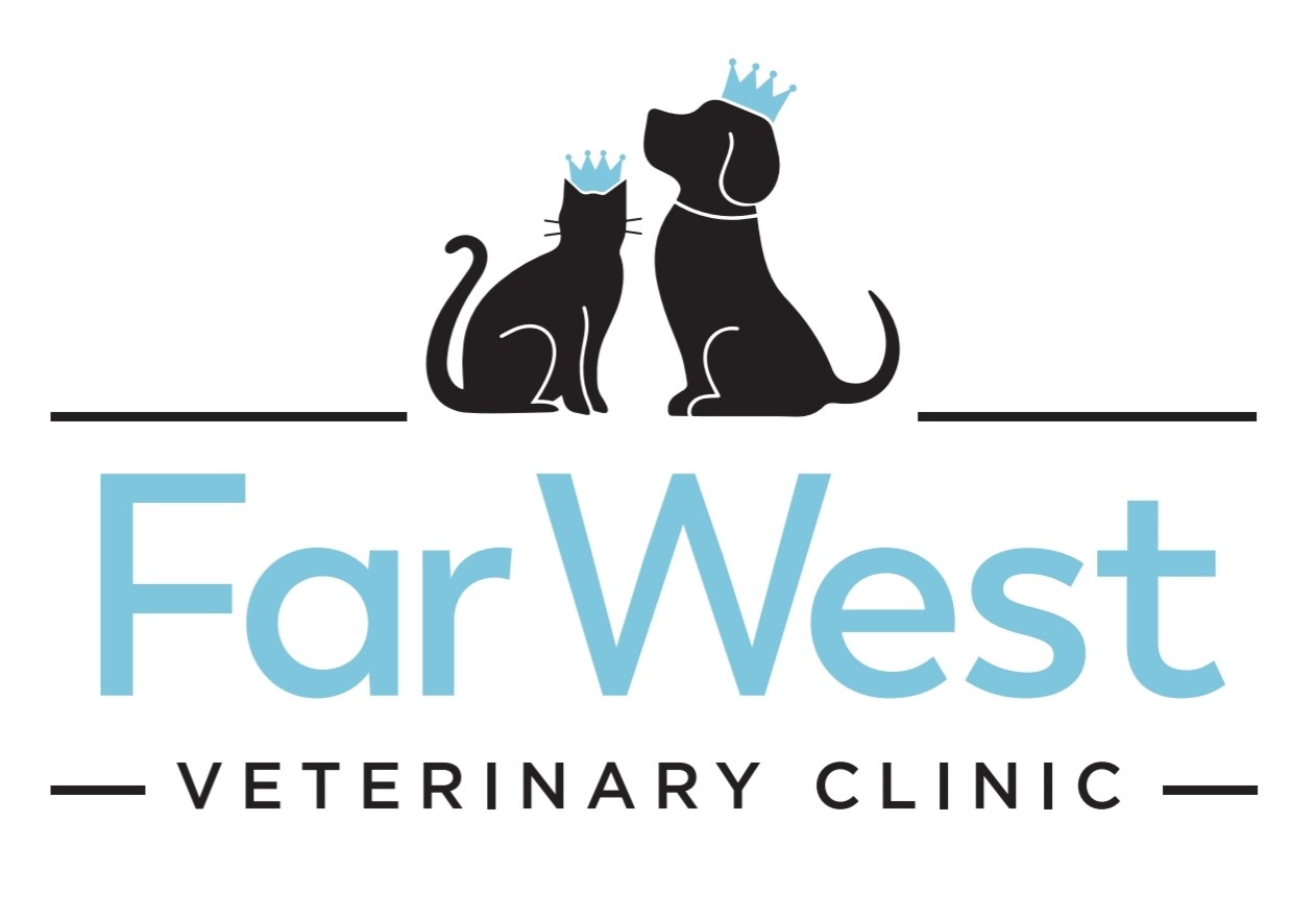 Far West Veterinary Clinic Austin, Texas Home